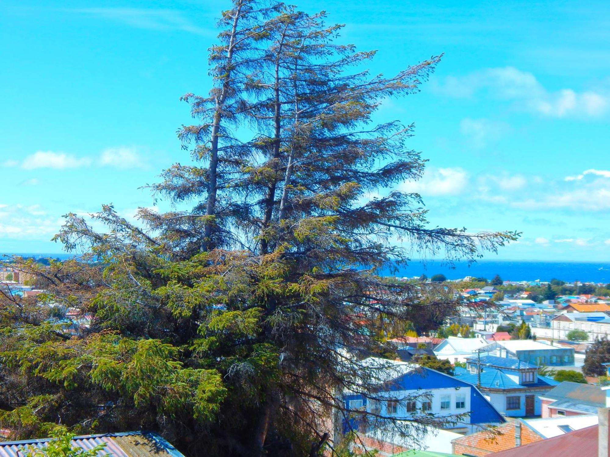 Hostal Buenavista Patagonia Punta Arenas Kültér fotó
